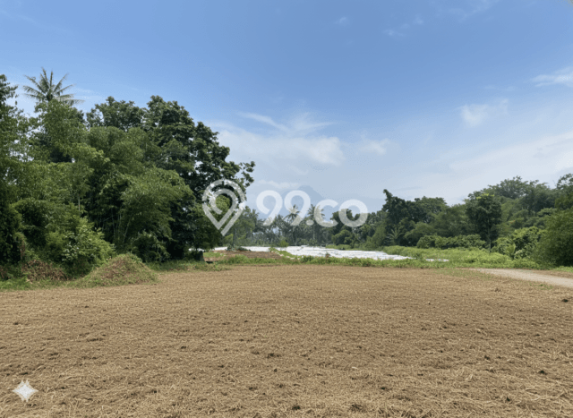 Lahan untuk Dijual Lokasi Pakem, Sleman Luas 168m2 AJB Lahan untuk Dijual Lokasi Pakem, Sleman Luas 168m2 AJB