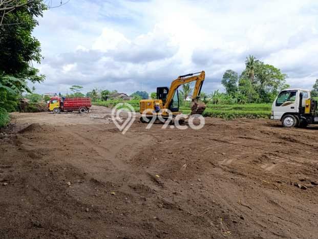 Tanah di Sleman, Sleman Luas 100m2 Dijual Segera Tanah di Sleman, Sleman Luas 100m2 Dijual Segera