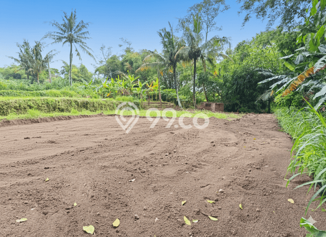 Tanah Strategis Dijual di Sleman Sleman 100m2 Tanah Strategis Dijual di Sleman Sleman 100m2