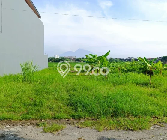 Tanah Dijual Lokasi Depok, Sleman Luas 214m2 Legalitas Aman Tanah Dijual Lokasi Depok, Sleman Luas 214m2 Legalitas Aman