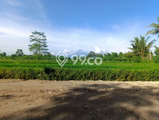 Tanah Komersial Dijual di Sleman Sleman 100m2 Tanah Komersial Dijual di Sleman Sleman 100m2
