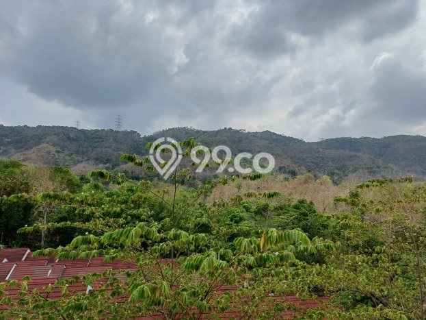 Tanah Siap Bangun Dijual di Bantul Punya Luas 120m2 Tanah Siap Bangun Dijual di Bantul Punya Luas 120m2