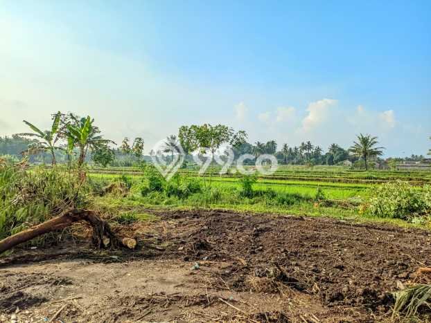 Tanah Investasi Dijual di Yogyakarta Punya Luas 99m2 Tanah Investasi Dijual di Yogyakarta Punya Luas 99m2