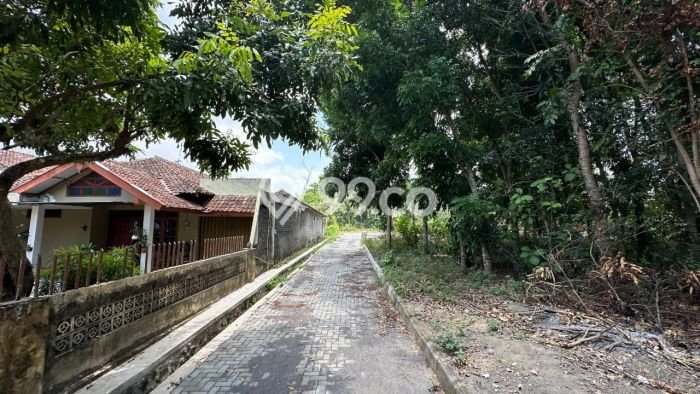 Jual Tanah Area Berkembang Kawasan Kalasan, Luas 127m2m², Akses Kalasan, Sleman, Sleman Jual Tanah Area Berkembang Kawasan Kalasan, Luas 127m2m², Akses Kalasan, Sleman, Sleman