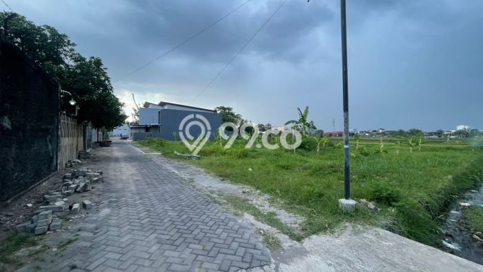 HARGA TERBAIK! Tanah di Sleman, Luas 213m2m², Dekat Jalan Raya, Cocok untuk Investasi HARGA TERBAIK! Tanah di Sleman, Luas 213m2m², Dekat Jalan Raya, Cocok untuk Investasi
