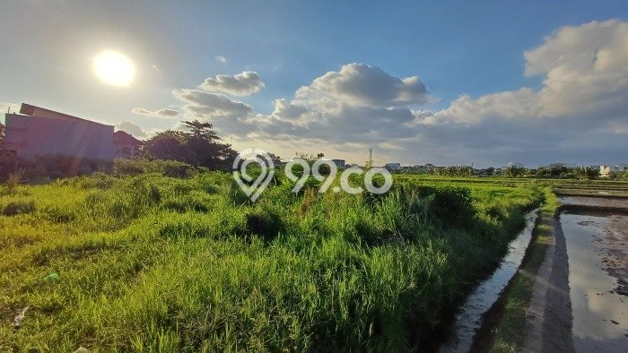 Lahan Kosong Dijual di Depok, Sleman, Luas 202m2 Area Strategis Lahan Kosong Dijual di Depok, Sleman, Luas 202m2 Area Strategis