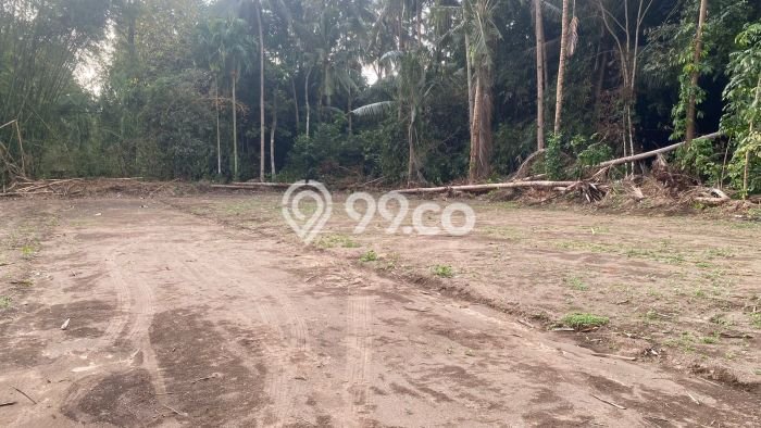 Untuk Dijual Tanah di Sleman Sleman Luas 118m2 AJB Untuk Dijual Tanah di Sleman Sleman Luas 118m2 AJB