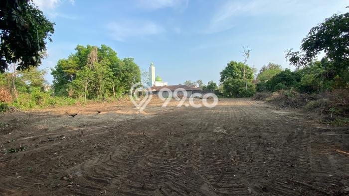 Untuk Dijual Tanah di Kalasan Sleman Luas 100m2 SHM Untuk Dijual Tanah di Kalasan Sleman Luas 100m2 SHM