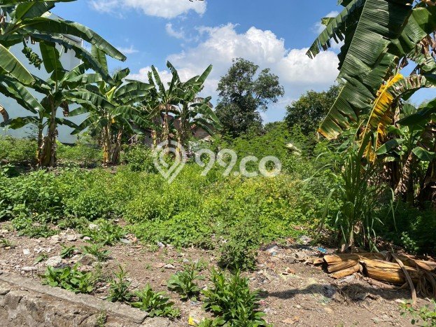 Tanah Dijual Lokasi Strategis di Yogyakarta dengan Luas 137m2 Tanah Dijual Lokasi Strategis di Yogyakarta dengan Luas 137m2
