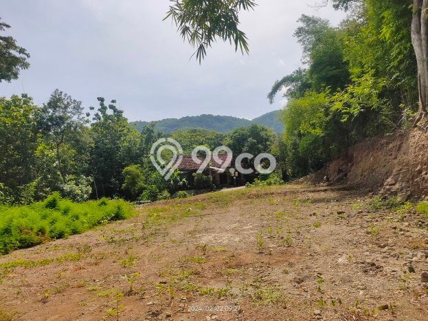 Lahan Dijual Lokasi Bantul, Bantul dengan Luas Tanah 165m2 dan Status SHM Lahan Dijual Lokasi Bantul, Bantul dengan Luas Tanah 165m2 dan Status SHM