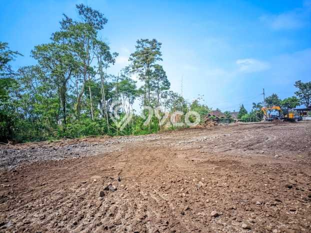 Tanah Investasi Dijual di Yogyakarta Punya Luas 118m2 Tanah Investasi Dijual di Yogyakarta Punya Luas 118m2