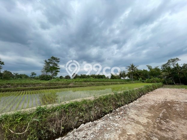 Kavling Tanah di Ngaglik Dijual Luas 102m2 Legalitas SHM Kavling Tanah di Ngaglik Dijual Luas 102m2 Legalitas SHM