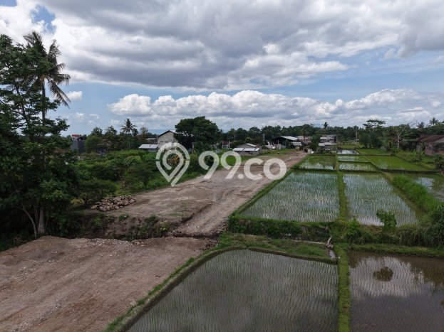 Tanah Kavling Dijual di Sleman dengan Spesifikasi 100m2 Tanah Kavling Dijual di Sleman dengan Spesifikasi 100m2
