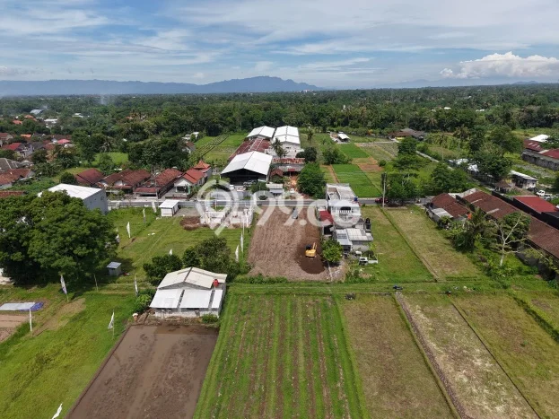 Tanah Dijual Lokasi Sleman, Sleman dengan Luas Tanah 100m2 dan Status SHM Tanah Dijual Lokasi Sleman, Sleman dengan Luas Tanah 100m2 dan Status SHM