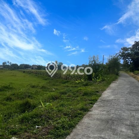 Tanah Strategis di Sidoarum, Luas 110m², Cocok untuk Perumahan Tanah Strategis di Sidoarum, Luas 110m², Cocok untuk Perumahan