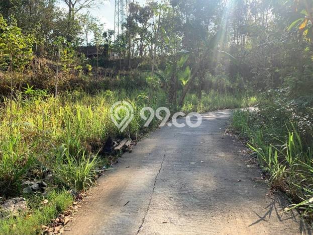 Lahan Investasi Lokasi Bantul Bantul SHM Lahan Investasi Lokasi Bantul Bantul SHM