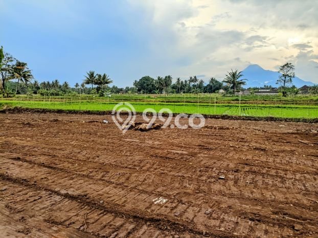 Kavling Tanah untuk Dijual di Sleman, Yogyakarta, Luas 139m2 Kavling Tanah untuk Dijual di Sleman, Yogyakarta, Luas 139m2