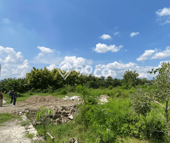 Lahan Investasi Lokasi Bantul Bantul - Lahan Investasi Lokasi Bantul Bantul -