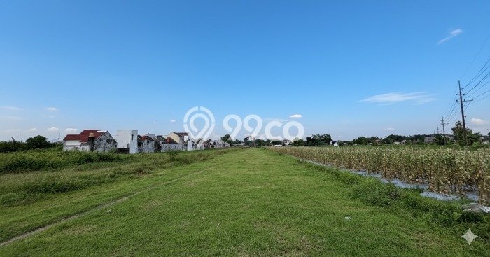 Tanah Dijual di Sleman Seluas 110m2 Strategis Tanah Dijual di Sleman Seluas 110m2 Strategis