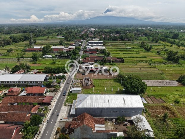 Untuk Dijual Tanah di Sleman Sleman Luas 100m2 SHM Untuk Dijual Tanah di Sleman Sleman Luas 100m2 SHM