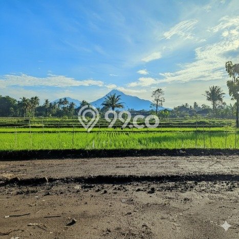Tanah Kavling Dijual di Yogyakarta dengan Spesifikasi 139m2 Tanah Kavling Dijual di Yogyakarta dengan Spesifikasi 139m2