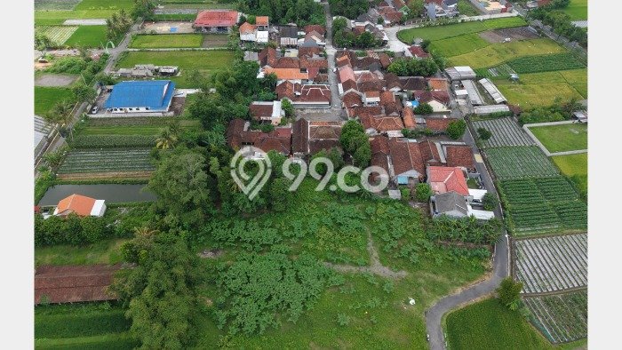 Tanah Investasi Dijual di Sleman Punya Luas 99m2 Tanah Investasi Dijual di Sleman Punya Luas 99m2
