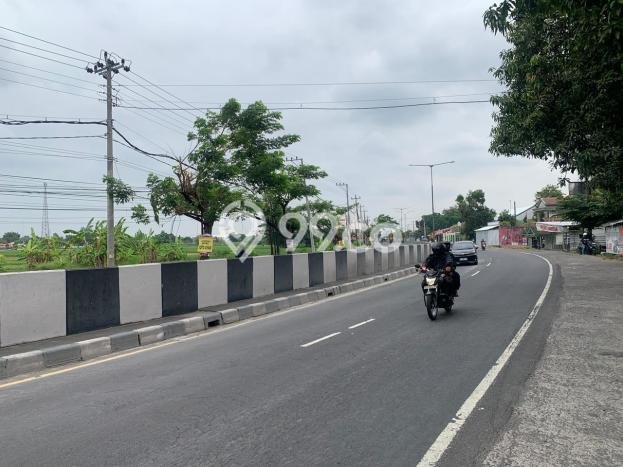 Jarang Ada! Tanah di Sleman Punya Luas 265m2 AJB Jarang Ada! Tanah di Sleman Punya Luas 265m2 AJB
