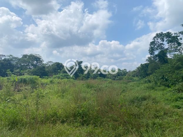 Tanah Kavling Dijual di Sleman, Yogyakarta dengan Luas Tanah 132m2 Tanah Kavling Dijual di Sleman, Yogyakarta dengan Luas Tanah 132m2