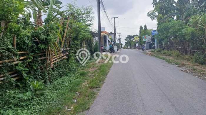Dijual Tanah di Denpasar Utara Denpasar Luas 1545m2 SHM Dijual Tanah di Denpasar Utara Denpasar Luas 1545m2 SHM