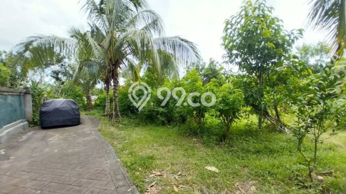 Tanah Kavling Dijual di Badung dengan Spesifikasi 400m2 Tanah Kavling Dijual di Badung dengan Spesifikasi 400m2