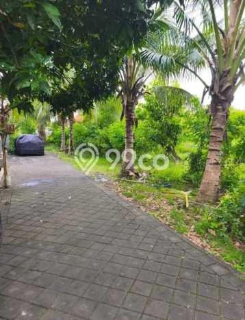 Tanah Kavling Dijual di Badung dengan Spesifikasi 400m2 Tanah Kavling Dijual di Badung dengan Spesifikasi 400m2