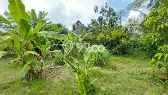 Tanah Kavling Dijual di Badung dengan Spesifikasi 400m2 Tanah Kavling Dijual di Badung dengan Spesifikasi 400m2