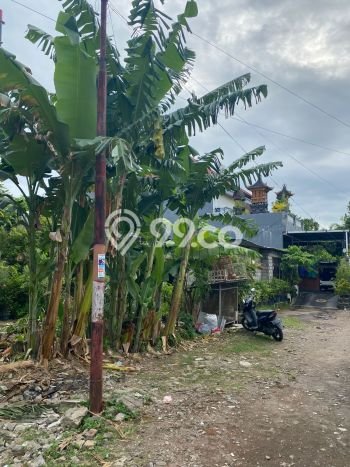 Jarang Ada! Tanah di Denpasar Selatan Punya Luas 480m2 SHM Jarang Ada! Tanah di Denpasar Selatan Punya Luas 480m2 SHM
