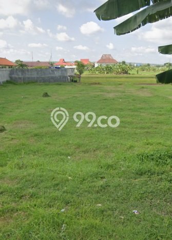 Tanah Dijual Lokasi Tuban, Tuban Luas 2283m2 Legalitas Aman Tanah Dijual Lokasi Tuban, Tuban Luas 2283m2 Legalitas Aman