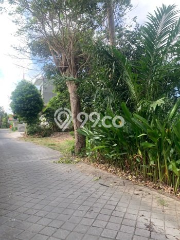 Lahan untuk Disewa di Badung Luas 3000m2 Lahan untuk Disewa di Badung Luas 3000m2