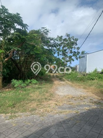 Lahan untuk Disewa di Badung Luas 3000m2 Lahan untuk Disewa di Badung Luas 3000m2