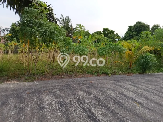 Kavling Tanah untuk Dijual di Panam, Pekanbaru, Luas 600m2 Kavling Tanah untuk Dijual di Panam, Pekanbaru, Luas 600m2