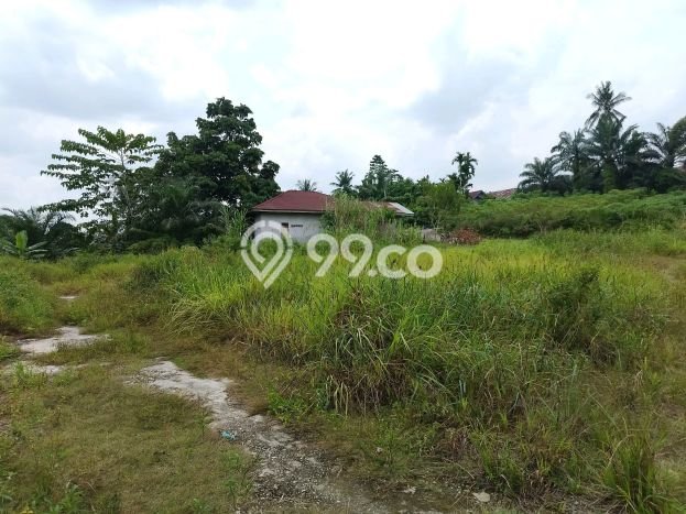 Tanah di Pekanbaru Kota, Luas 1064m², Area Berkembang Tanah di Pekanbaru Kota, Luas 1064m², Area Berkembang
