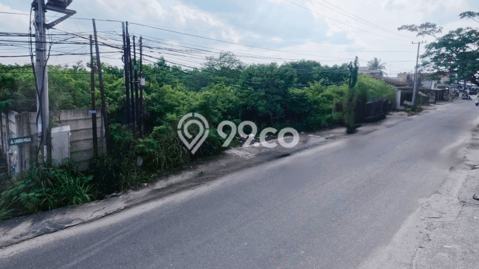 Untuk Dijual Tanah di Pekanbaru Kota Pekanbaru Luas 10000m2 SHM Untuk Dijual Tanah di Pekanbaru Kota Pekanbaru Luas 10000m2 SHM