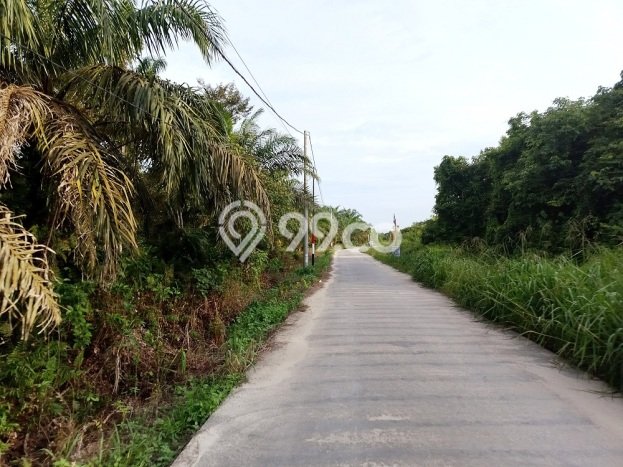 Tanah di Bukit Raya, Luas 11000m², Akses Jalan Utama Tanah di Bukit Raya, Luas 11000m², Akses Jalan Utama