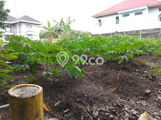 Kavling Tanah Dijual di Pekanbaru Kota Pekanbaru Spesifikasi 600m2 Kavling Tanah Dijual di Pekanbaru Kota Pekanbaru Spesifikasi 600m2