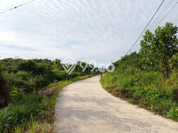 Tanah di Bukit Raya, Luas 11000m², Akses Jalan Utama Tanah di Bukit Raya, Luas 11000m², Akses Jalan Utama