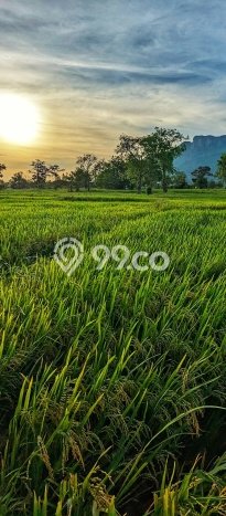Ruko Paling Dicari LB 153m2 Dijual di BSD Ruko Paling Dicari LB 153m2 Dijual di BSD