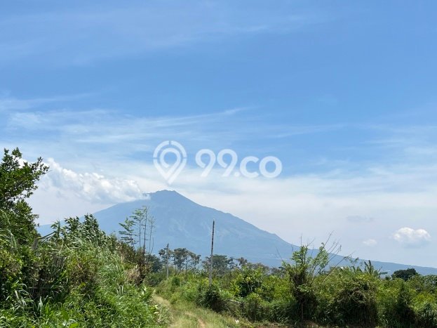 Lahan Kosong Dijual di Malang dengan Area 75m2 Lahan Kosong Dijual di Malang dengan Area 75m2