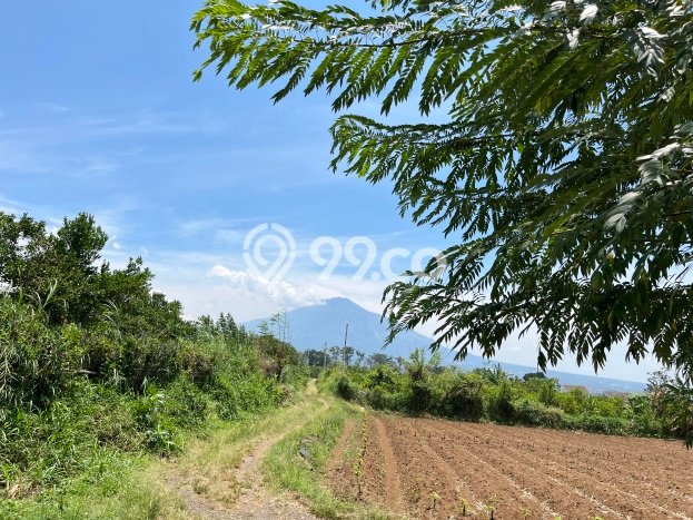 Dijual Tanah Lokasi Malang Kota, Malang Seluas 75m2 Dijual Tanah Lokasi Malang Kota, Malang Seluas 75m2