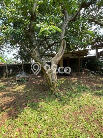 Tanah untuk Dijual Lokasi Ciputat, Tangerang Selatan Luas 3630m2 SHM Tanah untuk Dijual Lokasi Ciputat, Tangerang Selatan Luas 3630m2 SHM