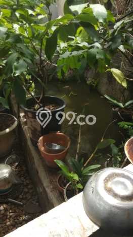 Dijual Cepat Rumah Bagus Siap Huni LB 110m2 di Dau, Malang Dijual Cepat Rumah Bagus Siap Huni LB 110m2 di Dau, Malang