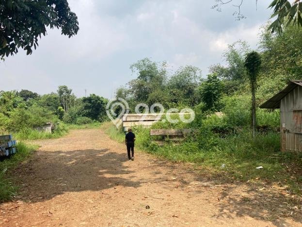 Tanah Kosong Dijual di Subang dengan Area 120000m2 Tanah Kosong Dijual di Subang dengan Area 120000m2