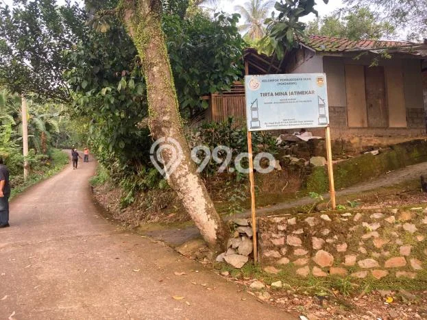 Kavling Tanah Dijual di Jatiluhur, Purwakarta, Luas 9990m2 Area Strategis Kavling Tanah Dijual di Jatiluhur, Purwakarta, Luas 9990m2 Area Strategis