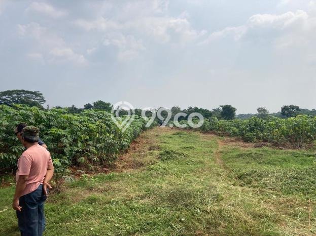 Untuk Dijual Tanah di Kalijati Subang Luas 220000m2 SHM Untuk Dijual Tanah di Kalijati Subang Luas 220000m2 SHM